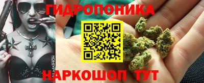 гидропоника Усть-Джегута